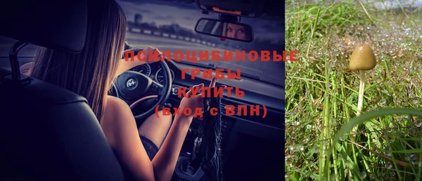 гидропоника Алексеевка