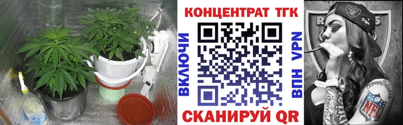 Купить где  Барнаул  Дистиллят ТГК Wax 
