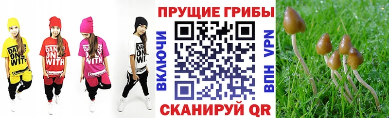 Галлюциногенные грибы прущие грибы  Купить  Барнаул 