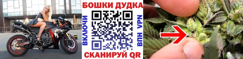 Купить Барнаул Бошки Шишки гибрид